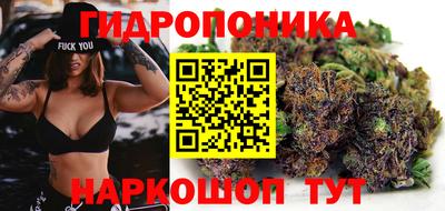 сатива Сланцы